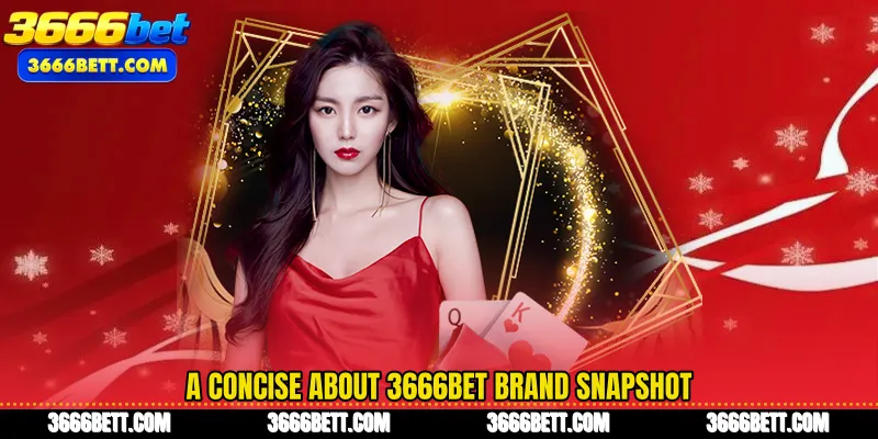 A concise About 3666Bet brand snapshot