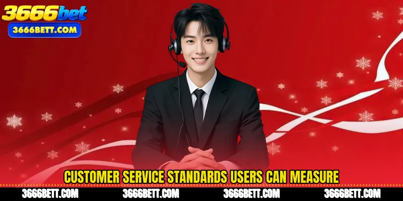 Customer Service standards users can measure